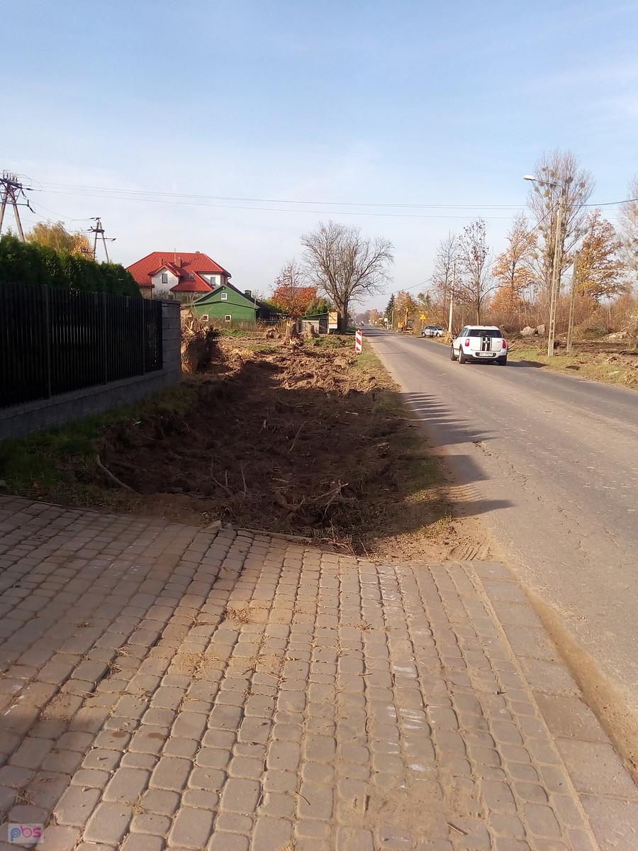 Tutaj coś ryją