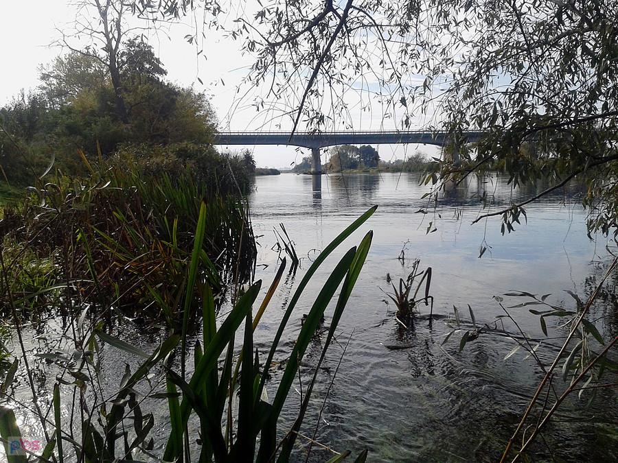 Most na Warcie - Droga Krajowa 72, Uniejów