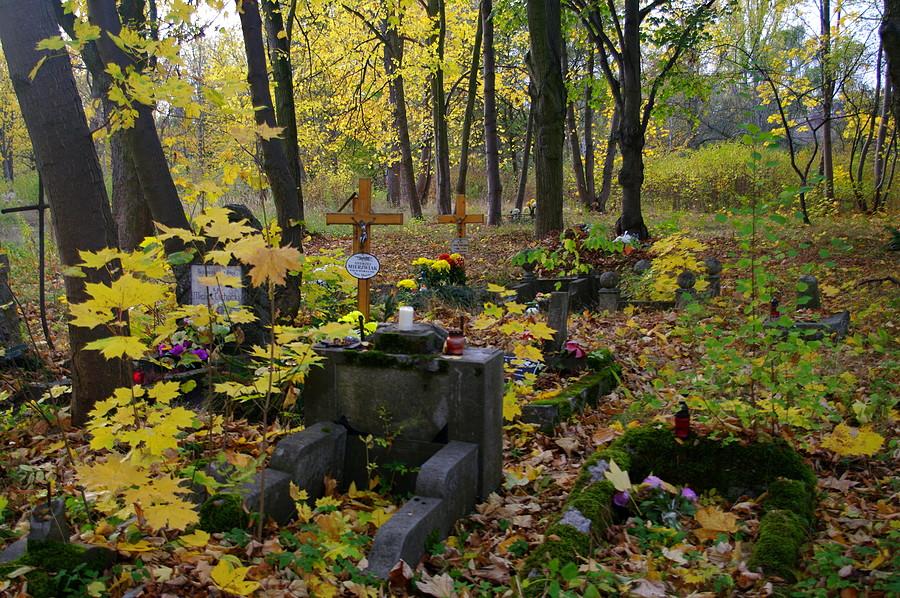 Smutny widok - zapomniany cmentarz przy Samotnej w Poznaniu