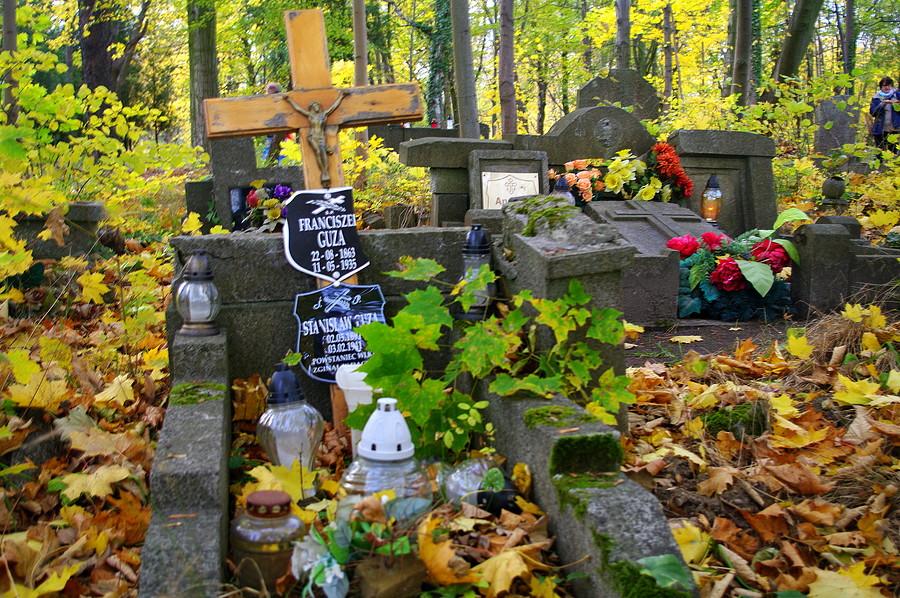 Grób powstańca wielkopolskiego - zapomniany cmentarz przy Samotnej w Poznaniu