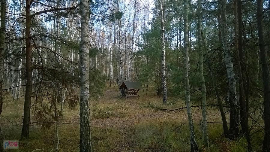 Odrzykoń - w tym miejscu było kiedyś duże kąpielisko, chętnie odwiedzane latem przez mieszkańców miasta