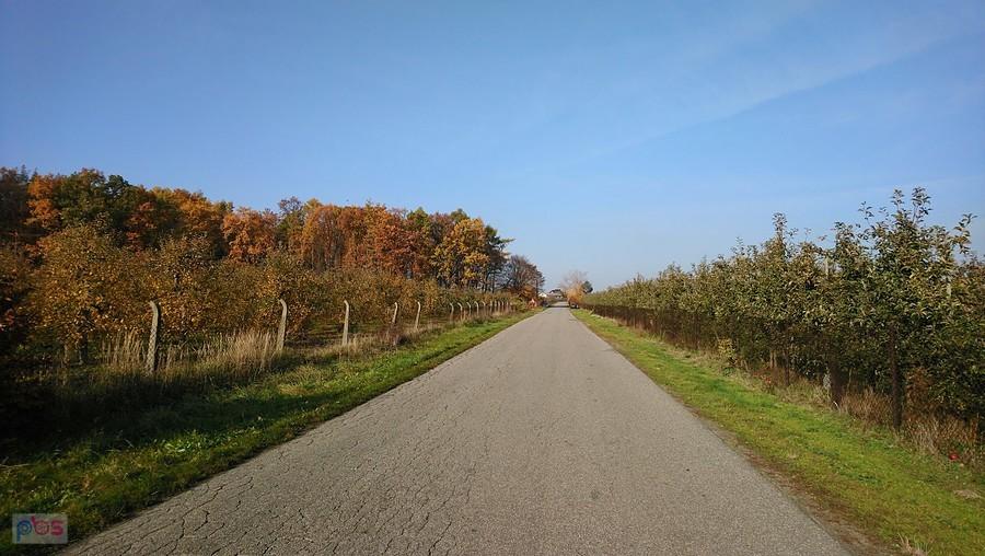 Pośród sadów w sadowniczym zagłębiu