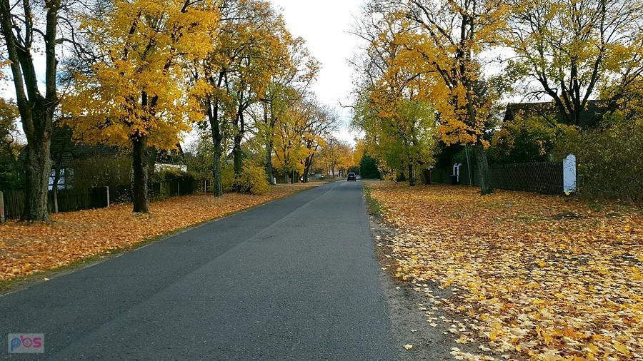 Jesień w Strumianach