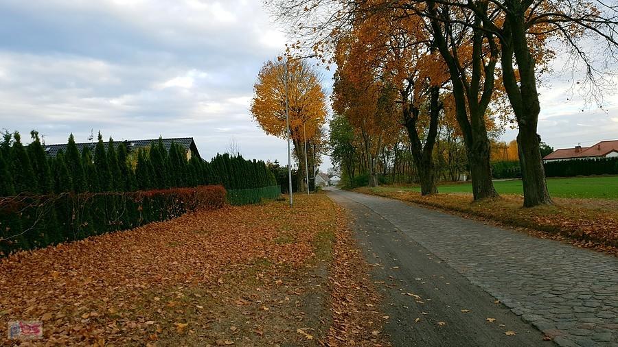 Jesień w Grzędzicach