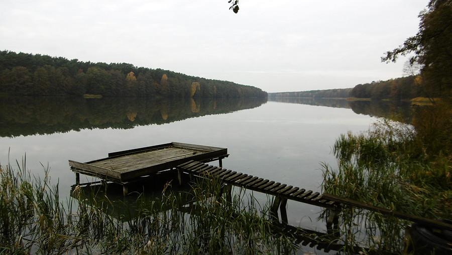 Nad Jeziorem Rogoźno. Spokojny klimacik jest