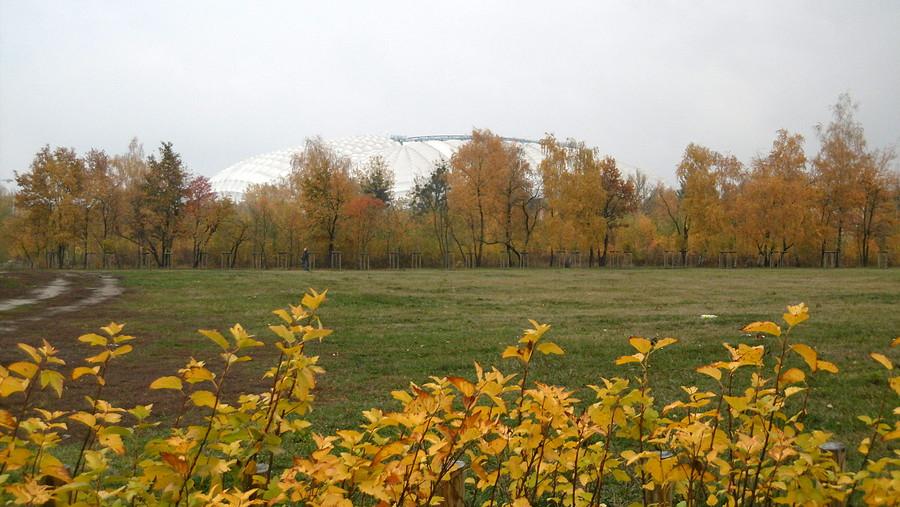 Jesień w okolicach stadionu