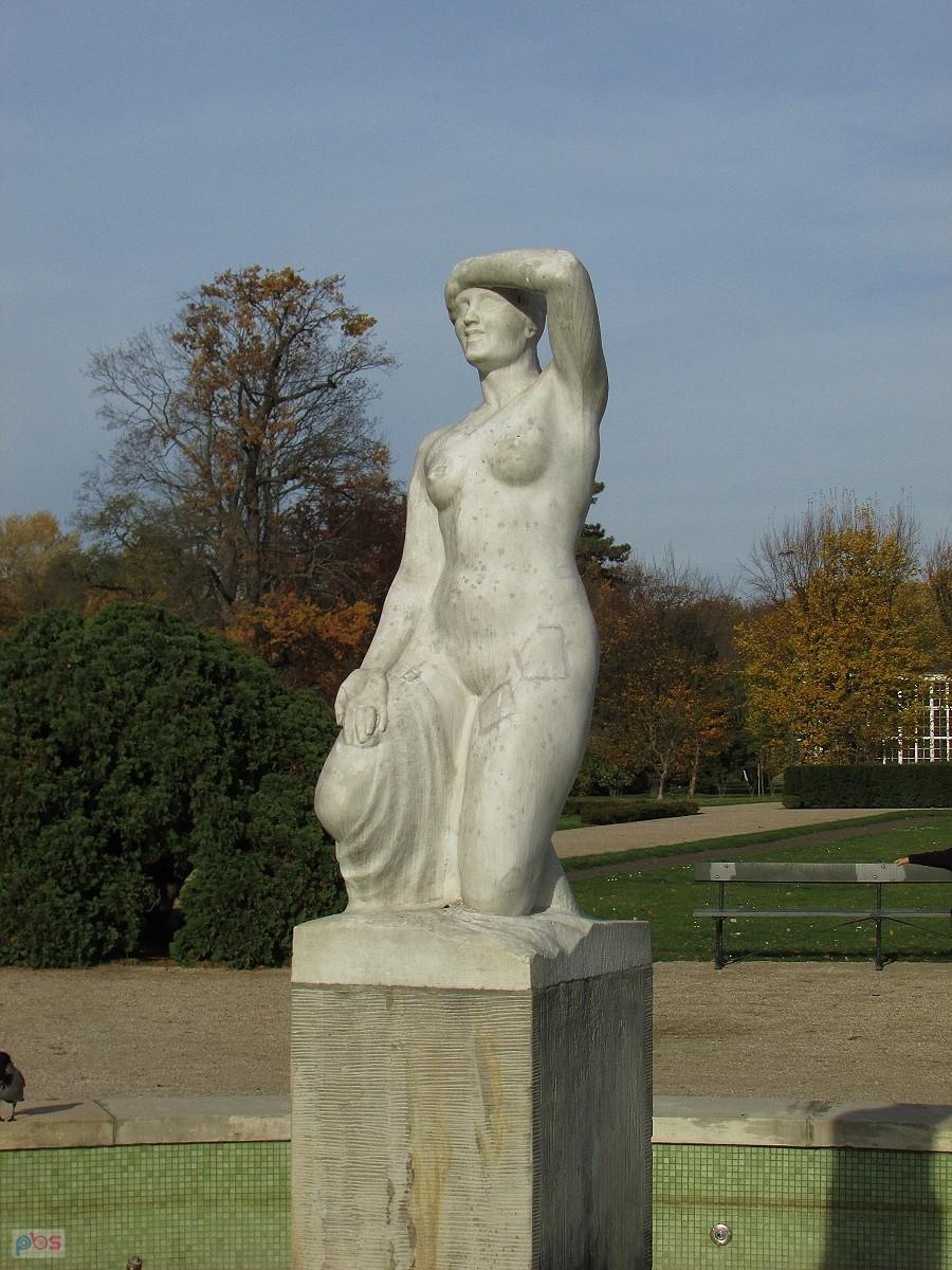 Jutrzenka wypatruje poranny brzask