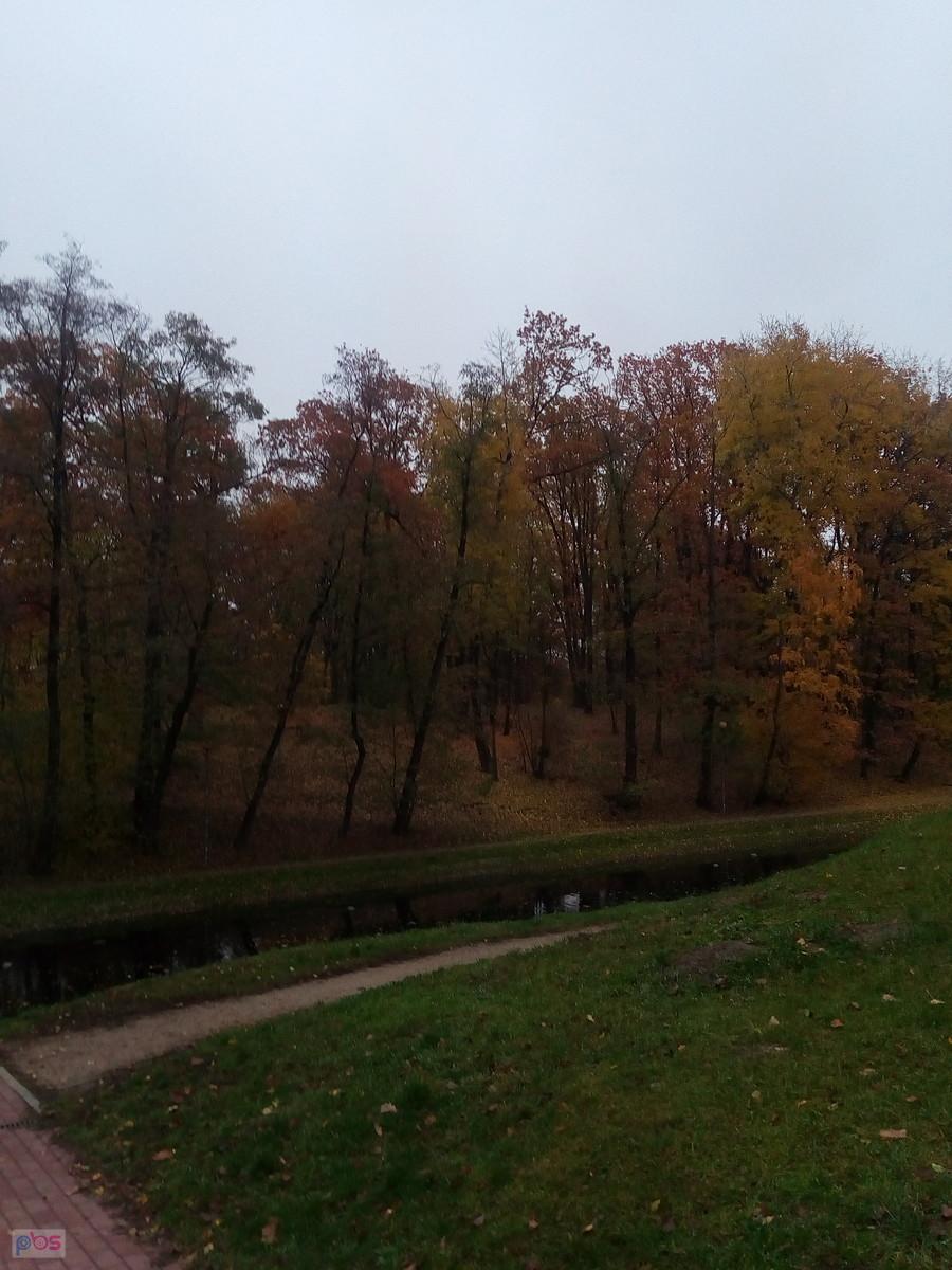 W parku na Forcie Bema