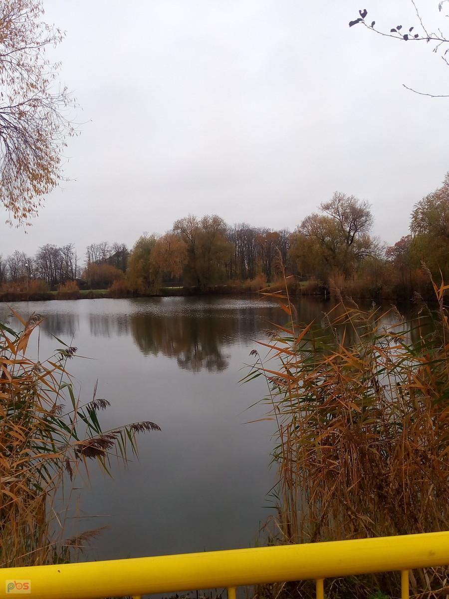 Staw w Zielonkach