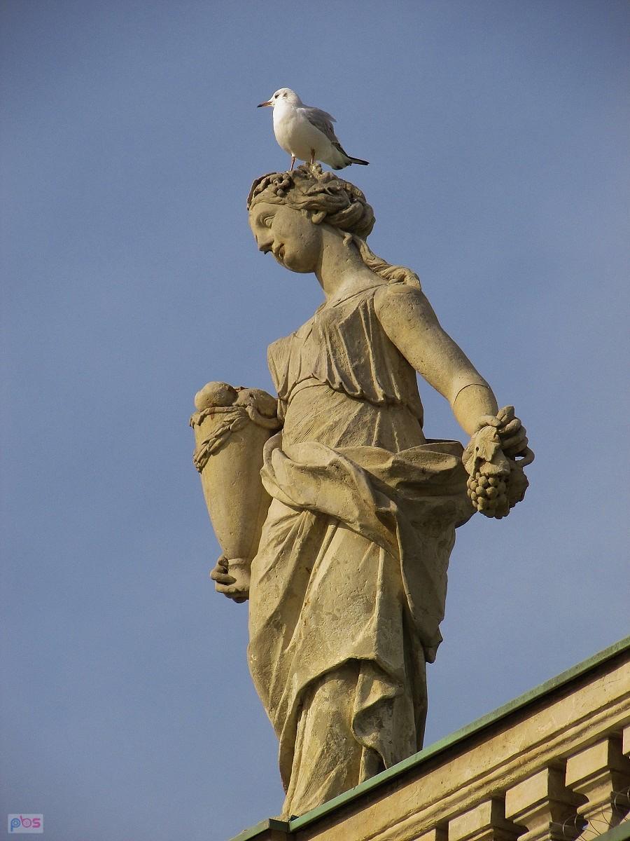 Jesień z Pałacu na Wyspie