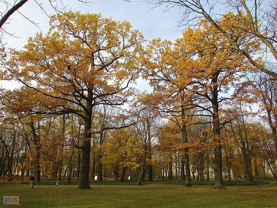 Łazienki Królewskie