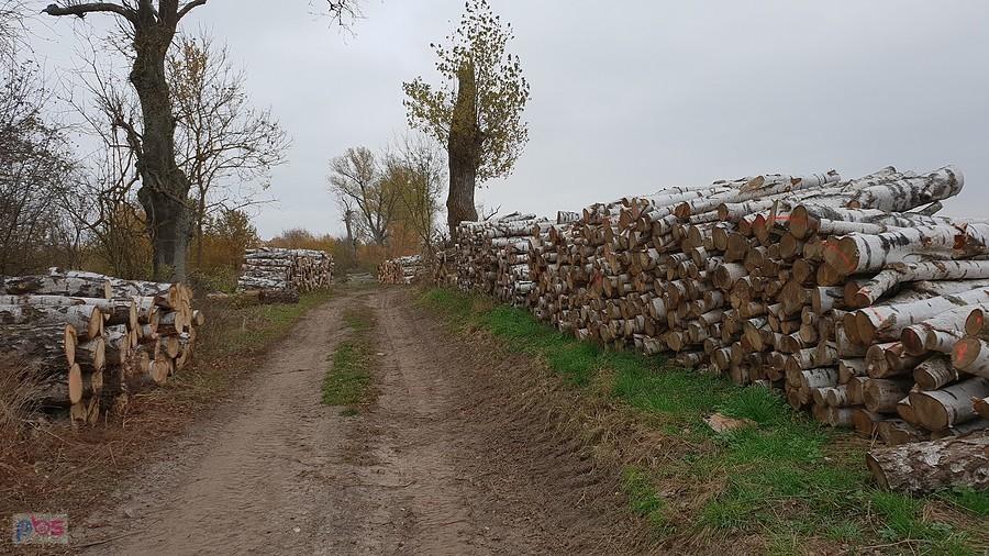 Początek drogi do Nowej Dąbrowy