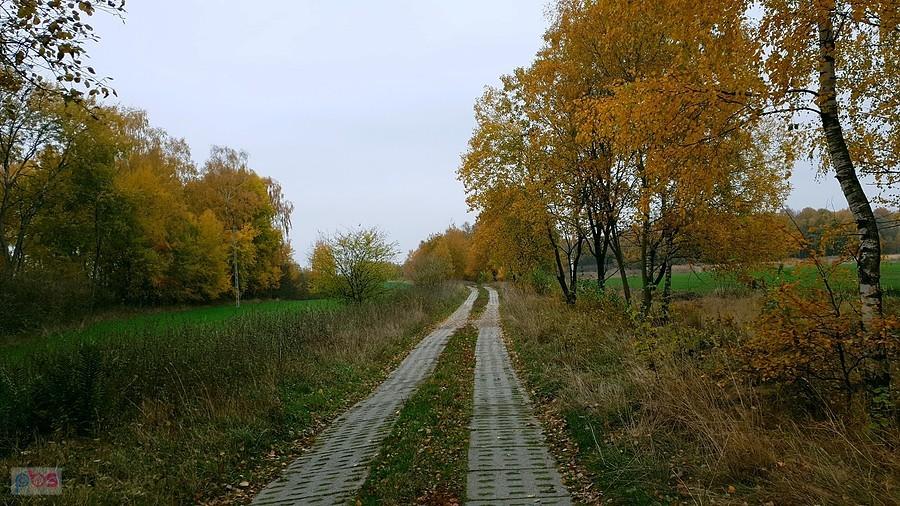 Płyty jumbo na drodze do Maszewa