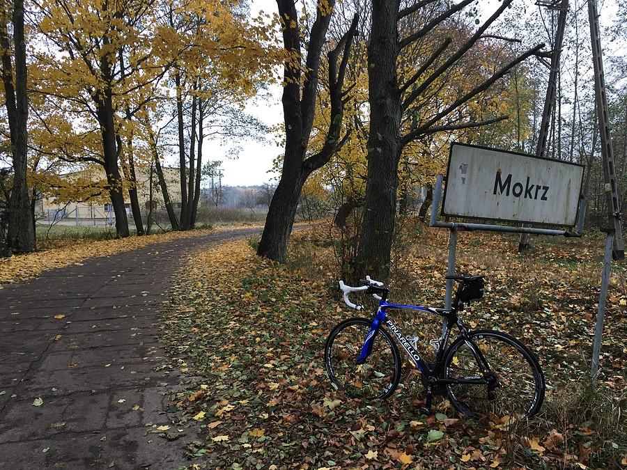 Mokrz / Puszcza Notecka
