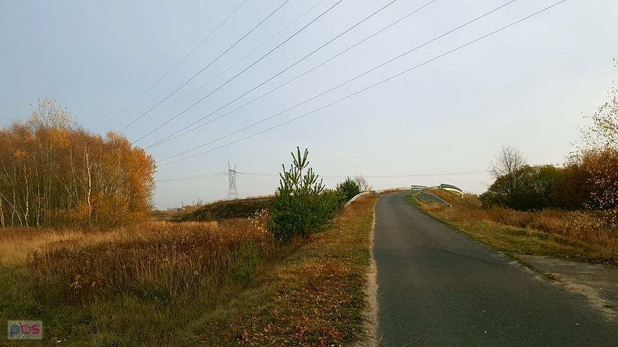 Wiadukt nad DK 10 w Morzyczynie