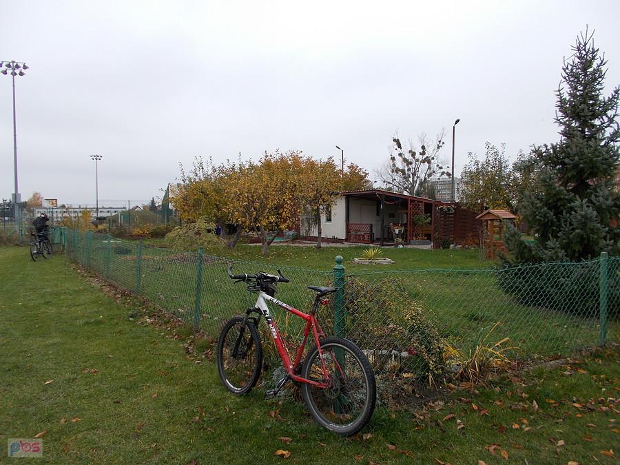 Działka Krzywego