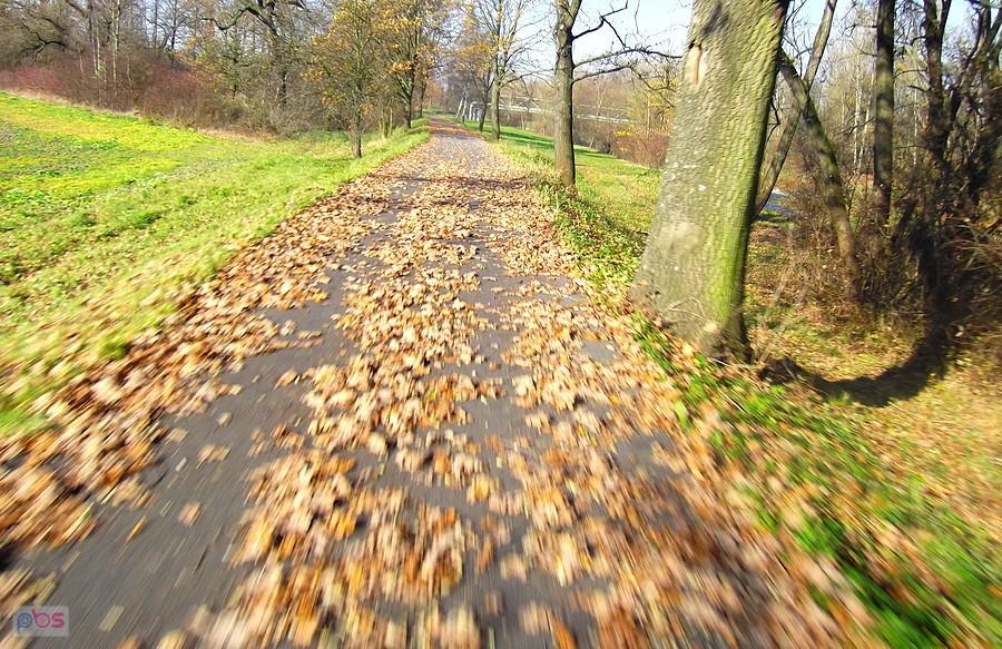 Z Chotěbuz trasą rowerową aż do Dětmarovic