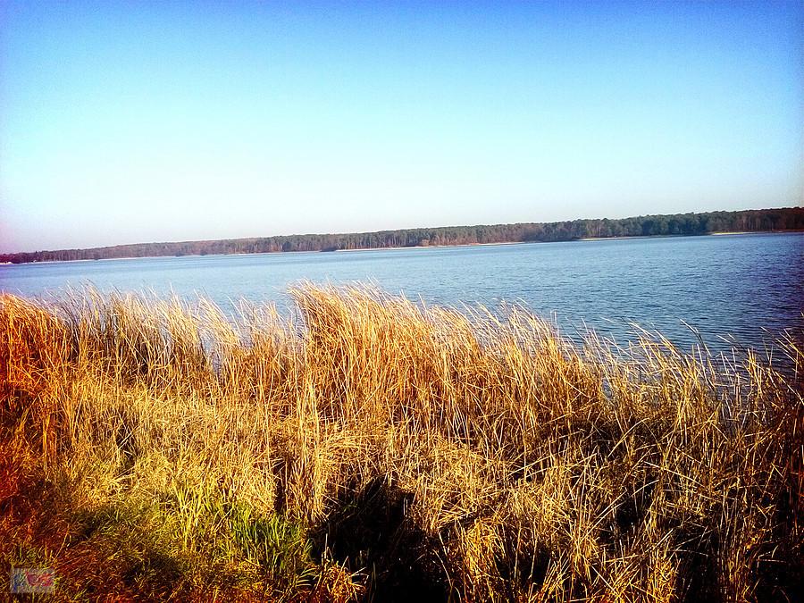 Jesień nad zalewem
