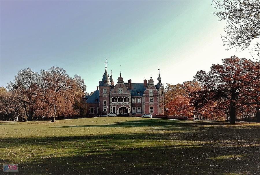 Pałac w Kobylnikach