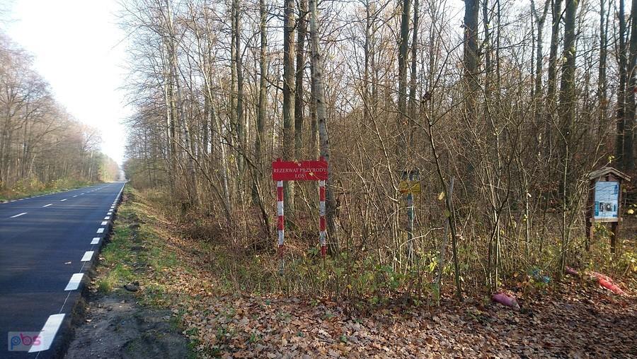 Rezerwat w Łosiu - z workami śmieci