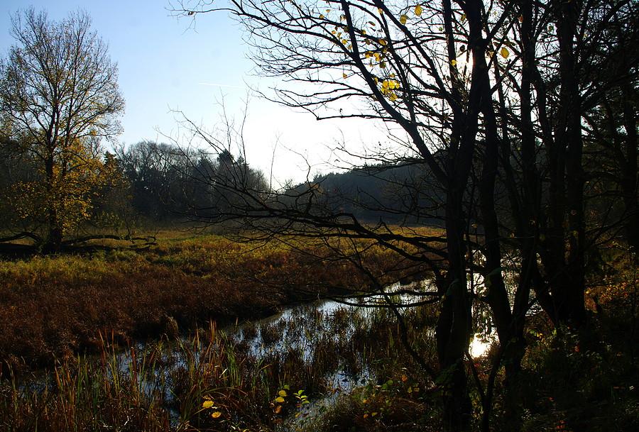Wielkopolski Park Naświetlony :)