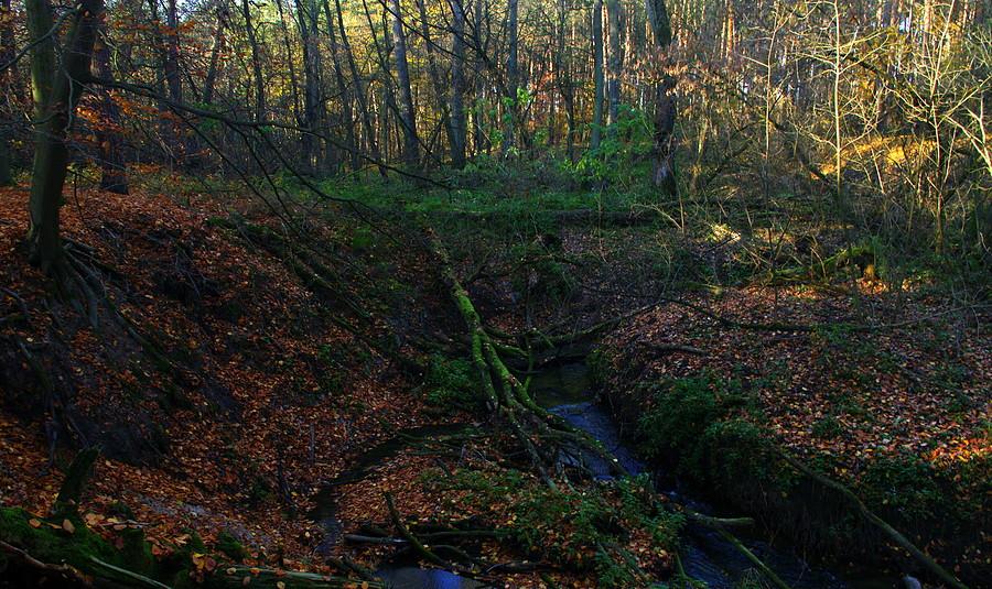 Uroczysko WPN-owisko