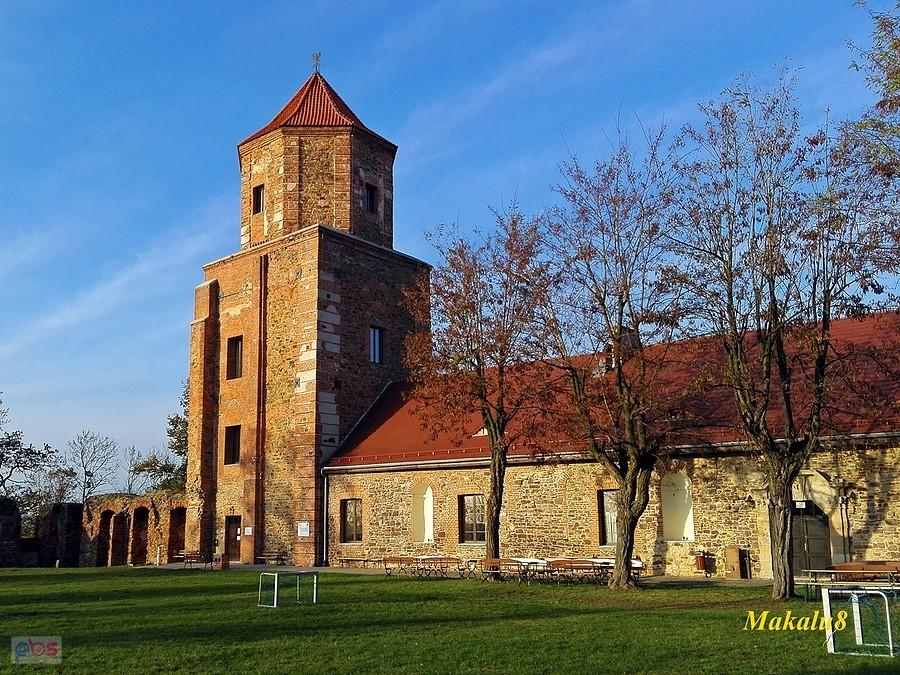 Toszek