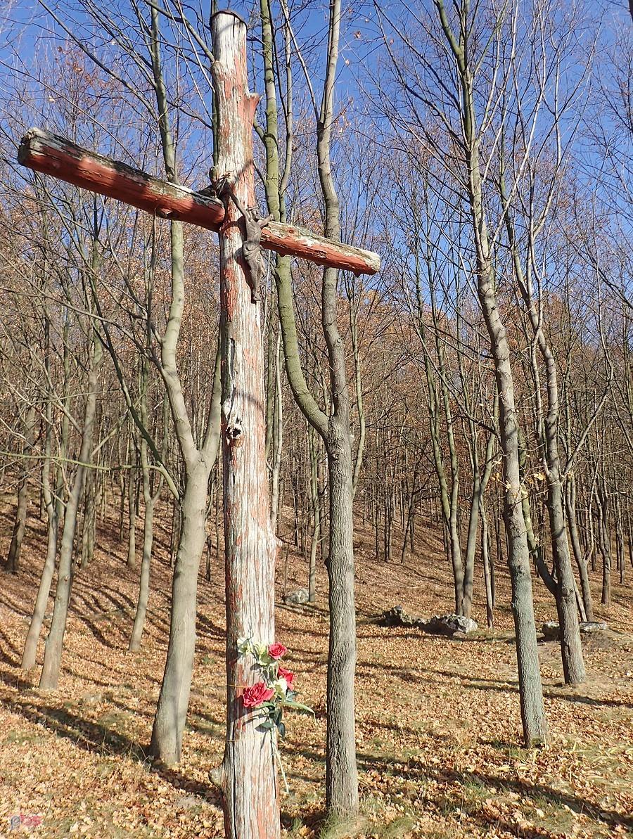 Krzyż na Cmentarzu Cholerycznym
