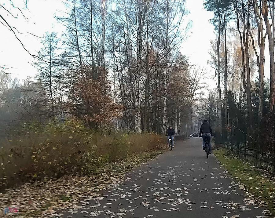 Rowerzyści w parku Zadole