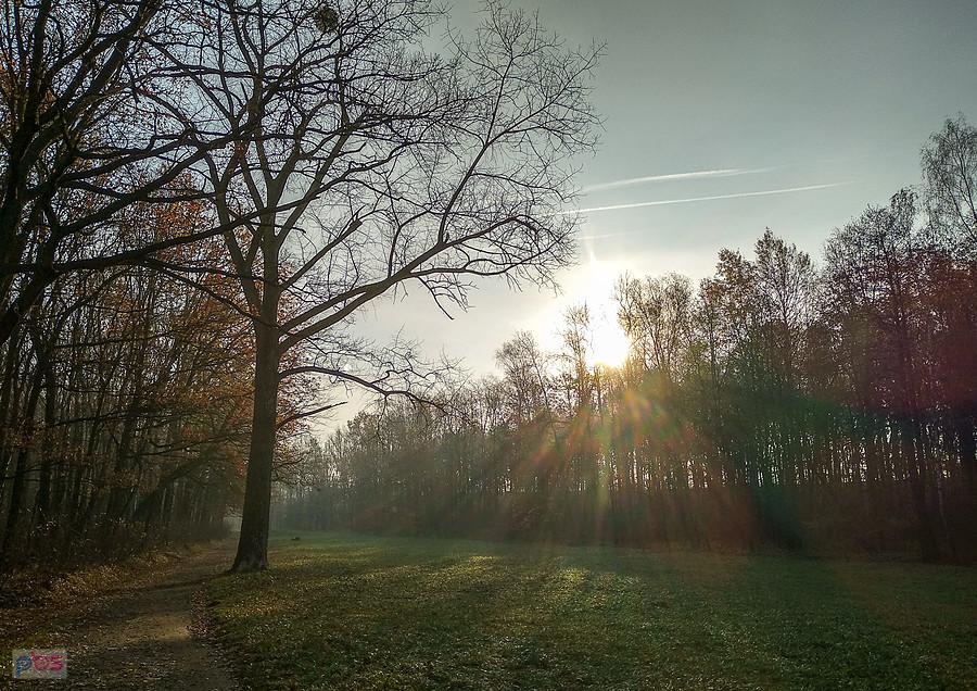 Słońce już wysoko na niebie