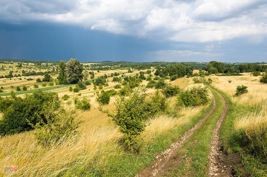 Przed burzą - wzniesienie Parchowatka koło Żarek