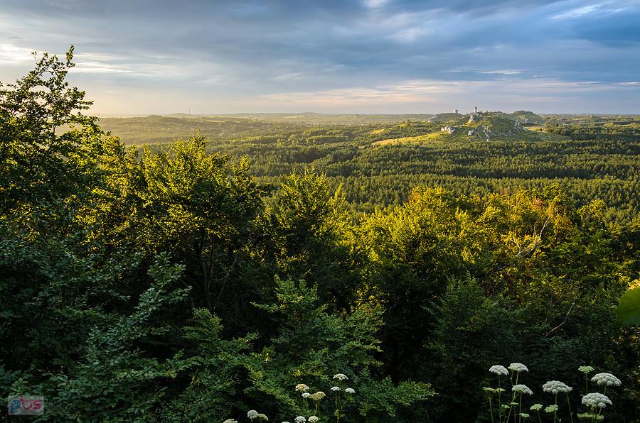 Olsztyn koło Częstochowy