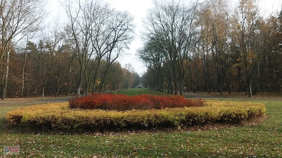 Park Zdrowie