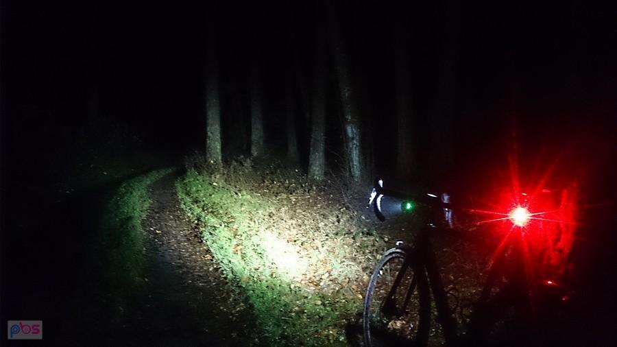 Leśna nocna ścieżka
