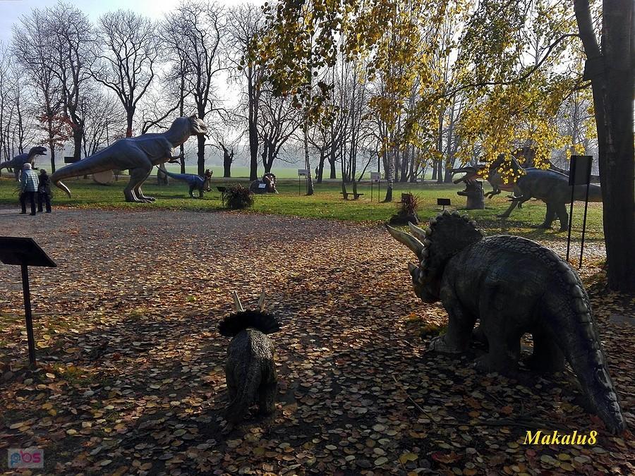 Park jurajski nad Rzęsą