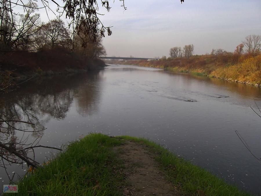 Odra, Olza.