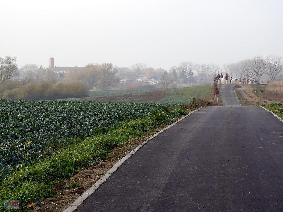 Inny fragment ścieżki rowerowej do Warnika.