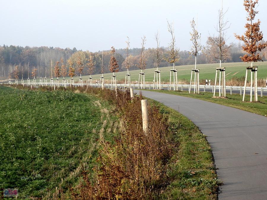 A tu inna ścieżka rowerowa w kierunku Neu Grambow.