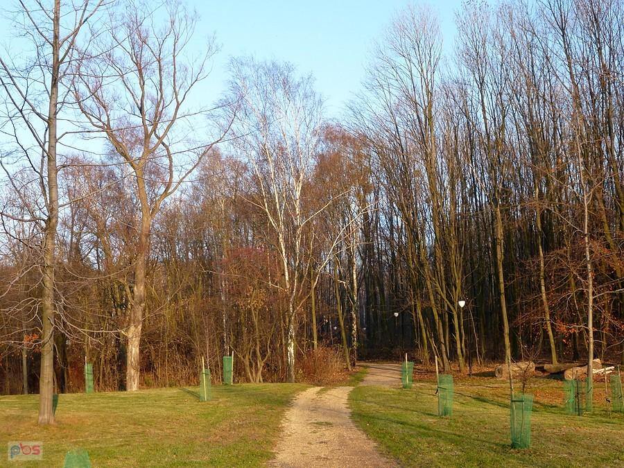 W ogrodzie botanicznym