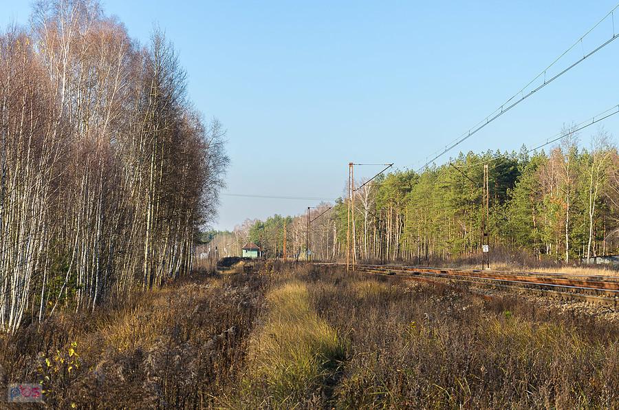 Przy szlaku Wiedenki - Masłońskie