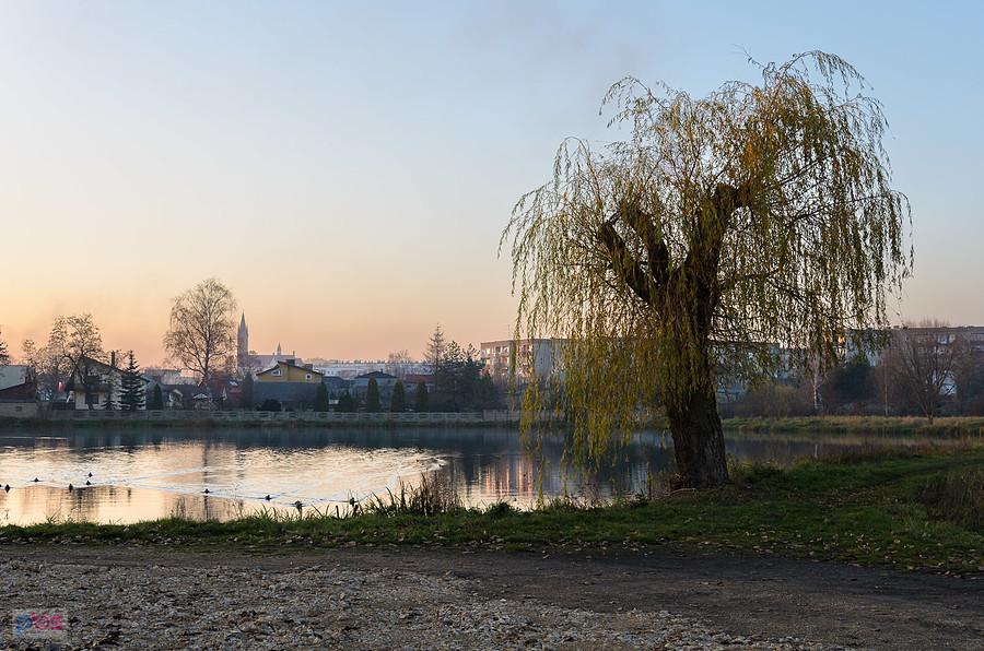 Myszków - stawy