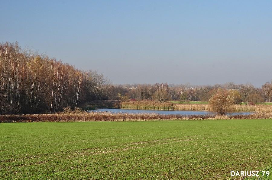 Zespół przyrodniczo-krajobrazowy Żabie Doły - Bytom