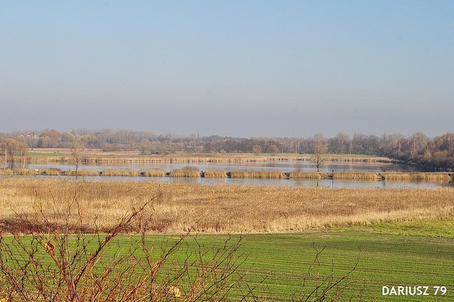 Zespół przyrodniczo-krajobrazowy Żabie Doły - Bytom