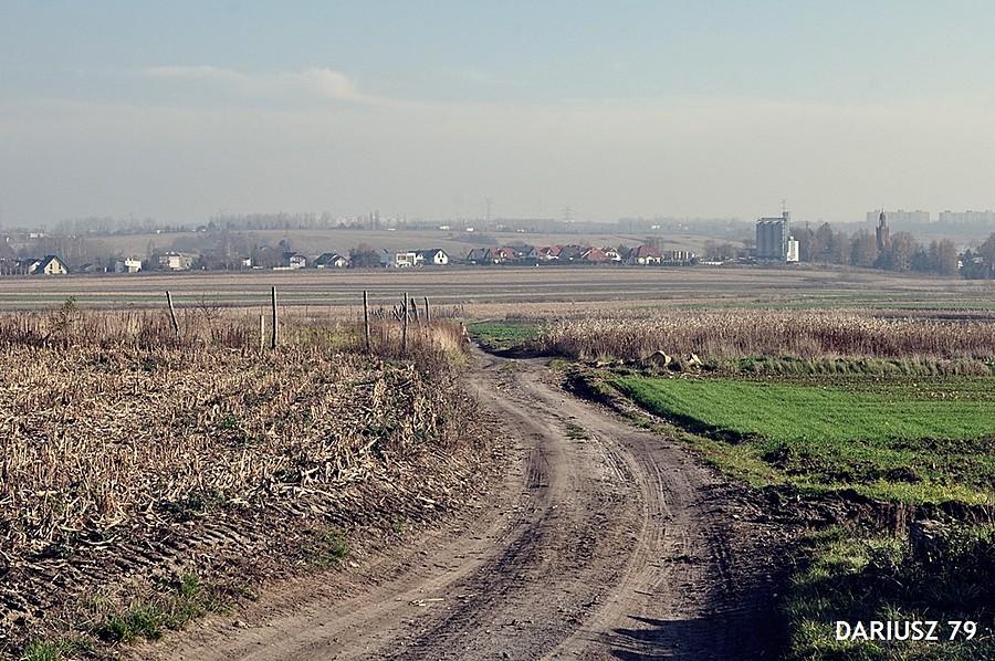 Siemianowice Śląskie - Przełajka