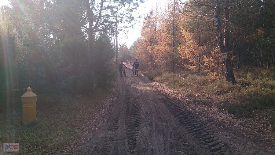 Paulina i Piotrek spacerują