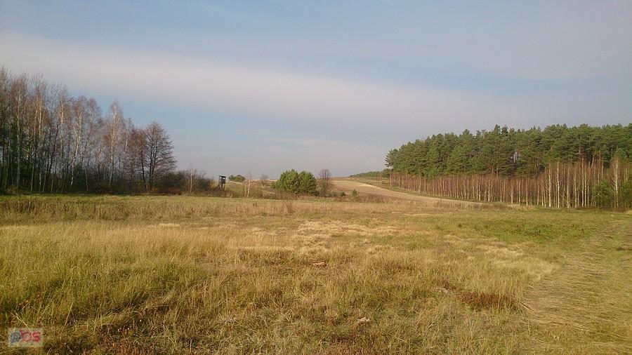 Łąki i podmokły teren