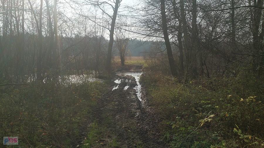 Takie atrakcje były na trasie