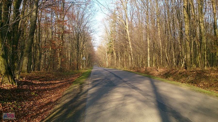 Krzczonowski Park Krajobrazowy