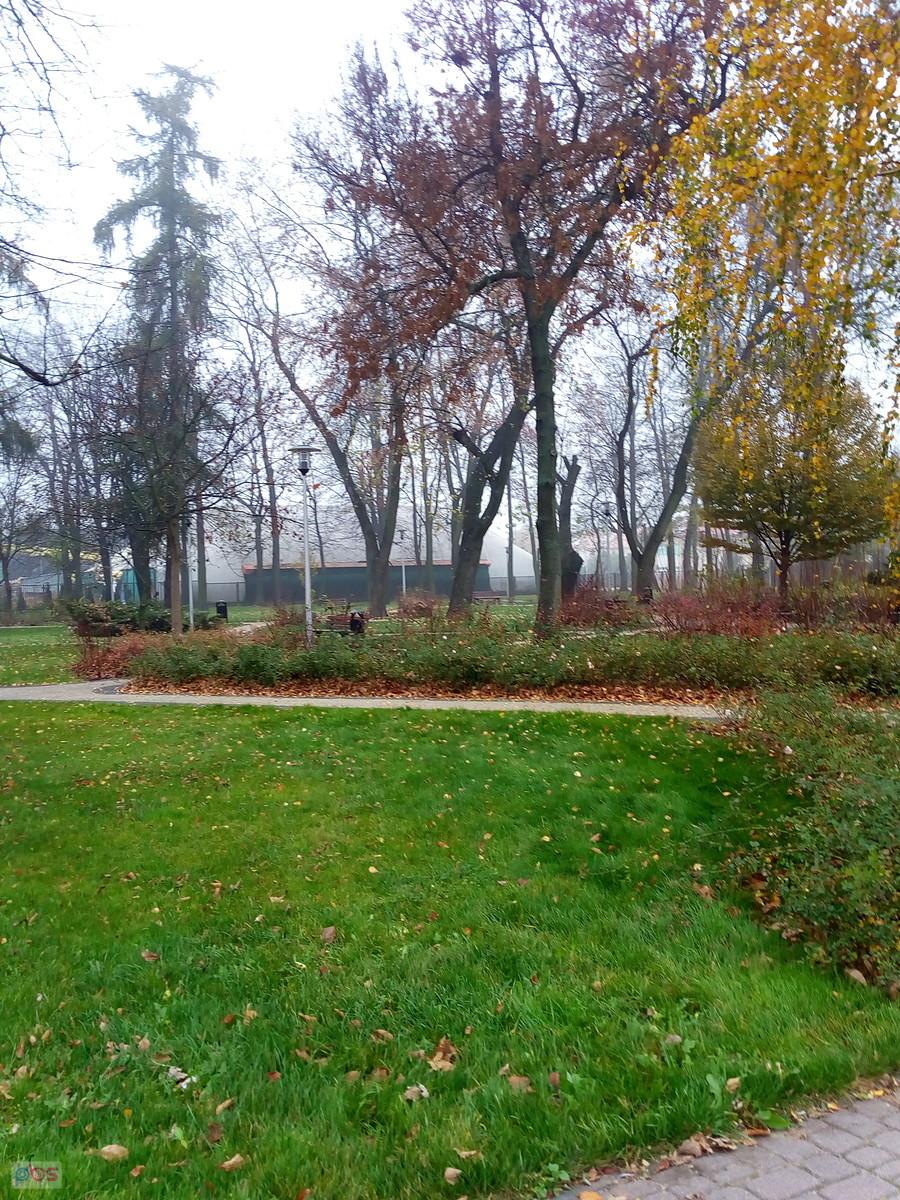 Park w Ożarowie