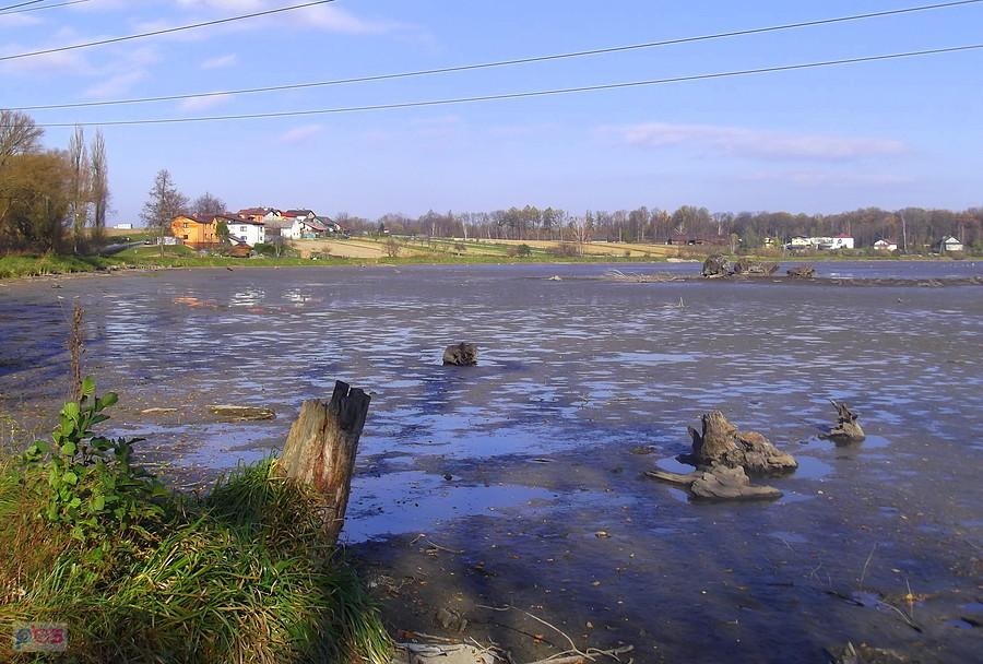 Miałem jechać przez Skoczów ale, wiało w twarz i w Drogomyślu skręciłem w prawo, kierunek Pruchna